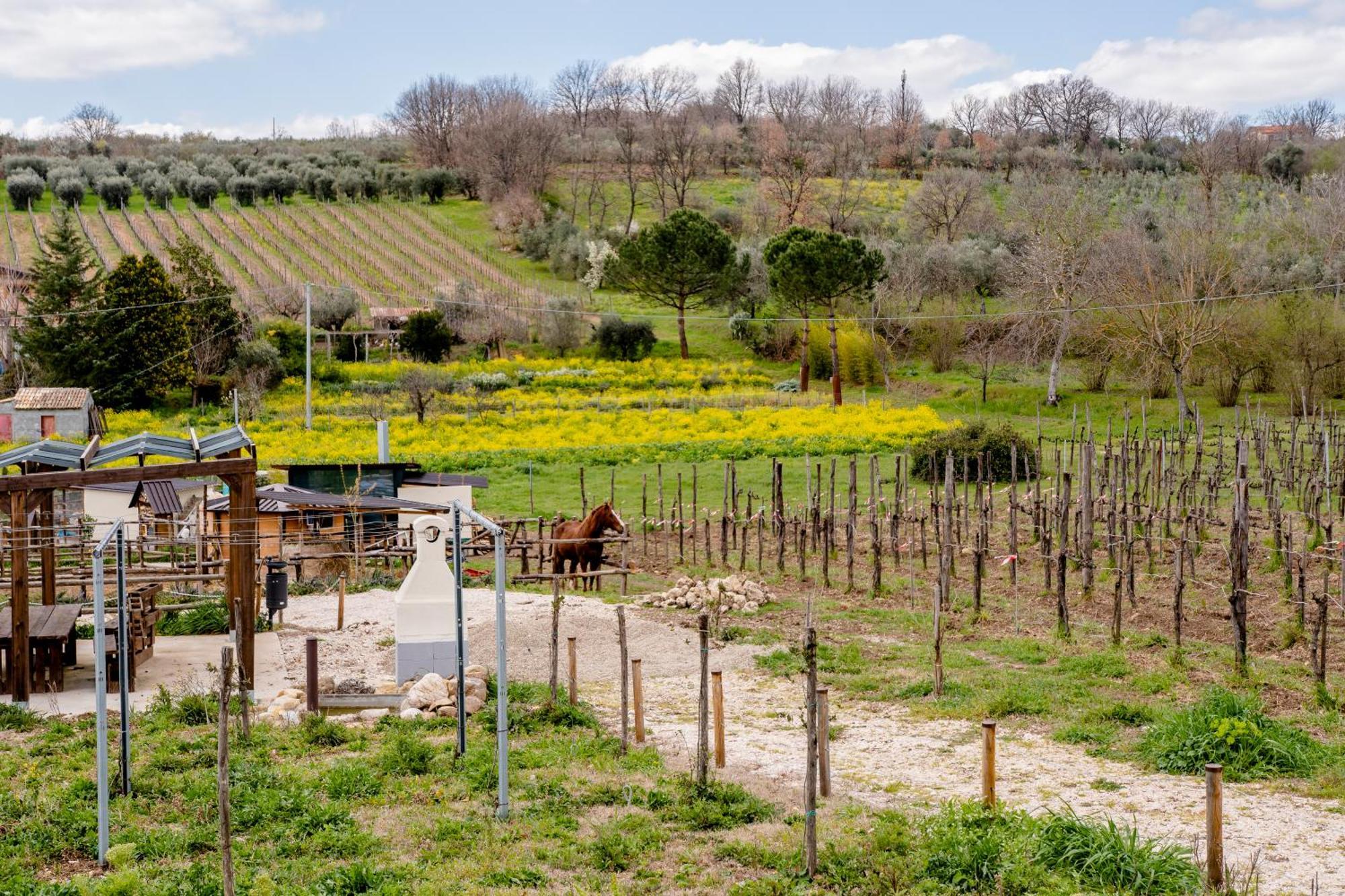 Il Poggio Degli Antichi Sapori Villa Paternopoli Exterior photo